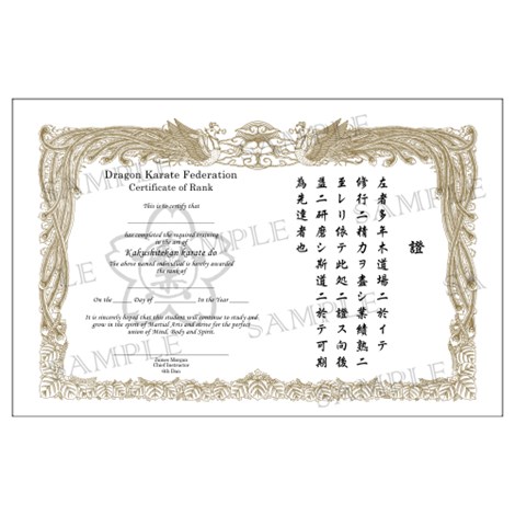 Martial Arts Certificates Pack of 10 TaeKwonDo & Karate Rank Certificates 
