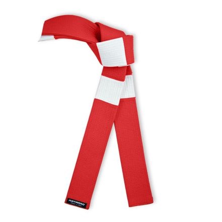 Deluxe Red Panel White Square Belt