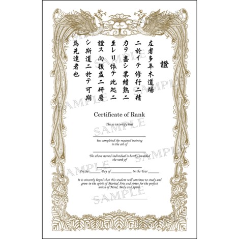 Certificate Of Rank 10 11x17 Portrait Basic