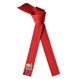 Embroidered Autism Awareness Martial Arts Deluxe Red Rank Belt