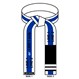 Embroidered Jujitsu BJJ Belt White with Blue Stripe
