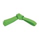 Six Sigma Basic Karate Belt - Lime Green