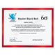Six Sigma Master Black Belt Certificate