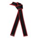 Martial Arts Six Sigma Master Black Belt with Red Border