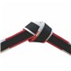 Deluxe Master Black Belt Red and White Panel Border Tied