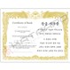 Gold Basic Martial Arts Certificate - Korean