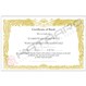 Gold Basic Martial Arts Certificate - English